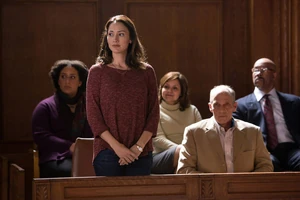 217 - "One Angry Fuchsbau"