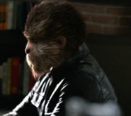 220-Luisant-Pêcheur4.png (145 КБ)