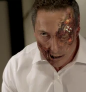 202-Renard morphed2.png (184 КБ)