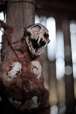 203 - "Bad Moon Rising"