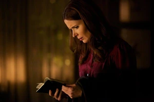 113 - "Three Coins in a Fuchsbau"