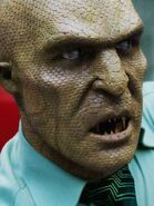 Lausenschlange.jpg (57 KB)