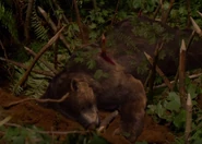 S1E2-DianaRabeWoged.jpeg (360 КБ)