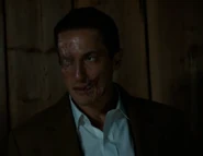 302-Renard woged.png (237 КБ)