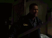 522-Schakal woge.gif (5.14 MB)