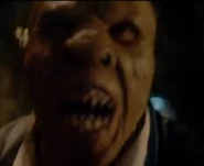 Hasslich Hulda1.png (129 КБ)