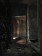 601-BTS5.jpg (148 KB)