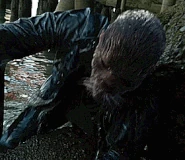 220-Luisant-Pêcheur retract woge.gif (4,14 МБ)