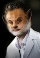 FuchsbauConcept.jpg (281 КБ)