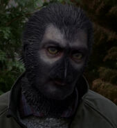 511-Marwan woged3.jpg (254 КБ)