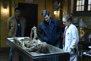 605 - "The Seven Year Itch"