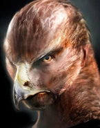 SteinadlerConcept.jpg (385 KB)