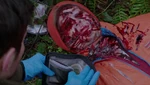 514-James Kriminski's body