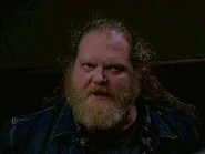 409-Klaustreich woge.gif (2,68 МБ)