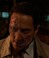 512-Renard woged.jpg (168 КБ)