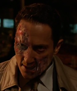 Hexenbiest Zauberbiest Images Grimm Wiki Fandom