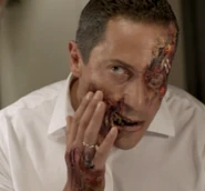 202-Renard morphed3.png (221 КБ)