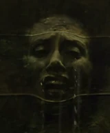 404-Face in Wall 5