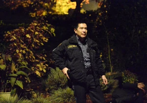 608 - "The Son Also Rises"