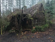 613-BTS-Cabin in the Woods.jpg (368 KB)