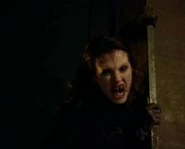 Lena crop.png (44 КБ)