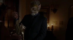 504-Picking a feather