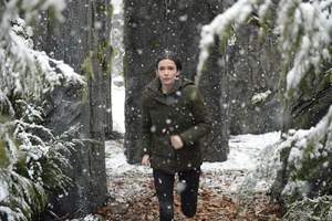 611 - "Where the Wild Things Were"