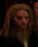 Invitado de la Boda 1 woge