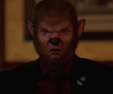 507-Young Council Member woged