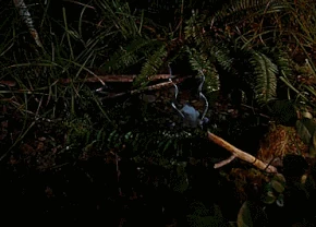 418-Mishipeshu emerges