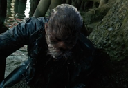 220-Luisant-Pêcheur2.png (600 КБ)