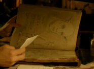 Seelengut-Grimm Diary