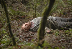 611 - "Where the Wild Things Were"