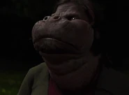 605-Mandy woged.png (273 KB)