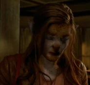 Fuchsbau alicia1.png (401 КБ)