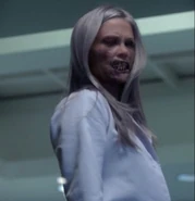 Ведьма2.jpg (53 КБ)