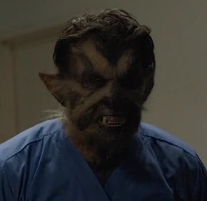 505-Thuggish Orderly woged