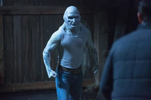 417 - "Hibernaculum"