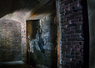 517-BTS5.jpg (366 KB)