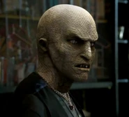 118-Quinn.png (216 KB)