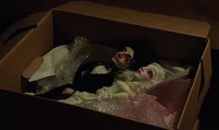605-Diana's dolls
