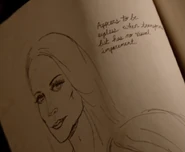 319-Hexenbiest Grimm Diaries