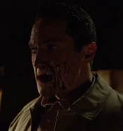 416-Renard woged.png (300 КБ)