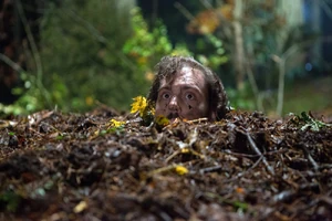 512 - "Into the Schwarzwald"