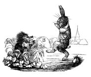 Hase und Igel Johann Peter Lyser 4