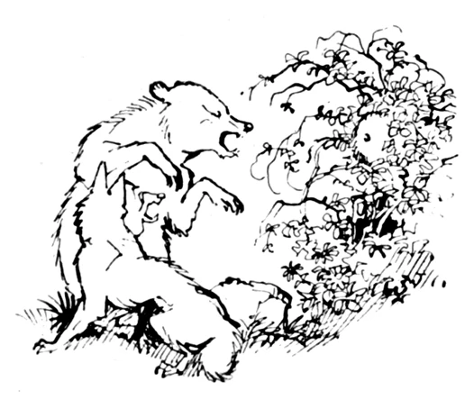 Der Zaunkönig und der Bär (Kurt Rübner) GrimmBilder Wiki Fandom