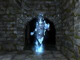 Ice Guardian