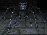 Giant Spider