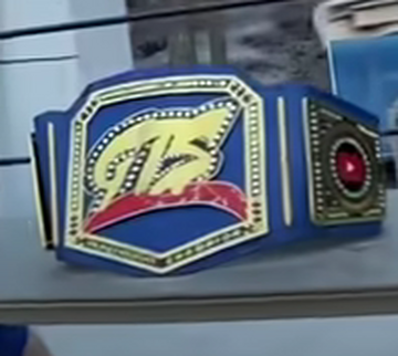Gts youtube wrestling figures heavyweight championship discount