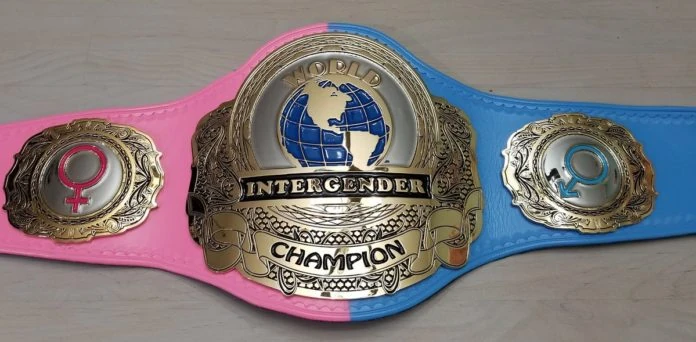 youtube wrestling figures heavyweight champion